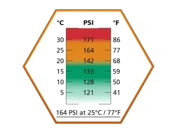ASG Ultrair 164 PSI Orange Airsoft Green Gas (Kışlık Gaz)
