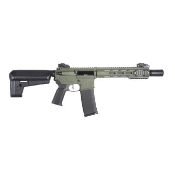 Delta Armory M4 AR15 M-LOK 10'' SilentOps Charlie Haki Airsoft Tüfek